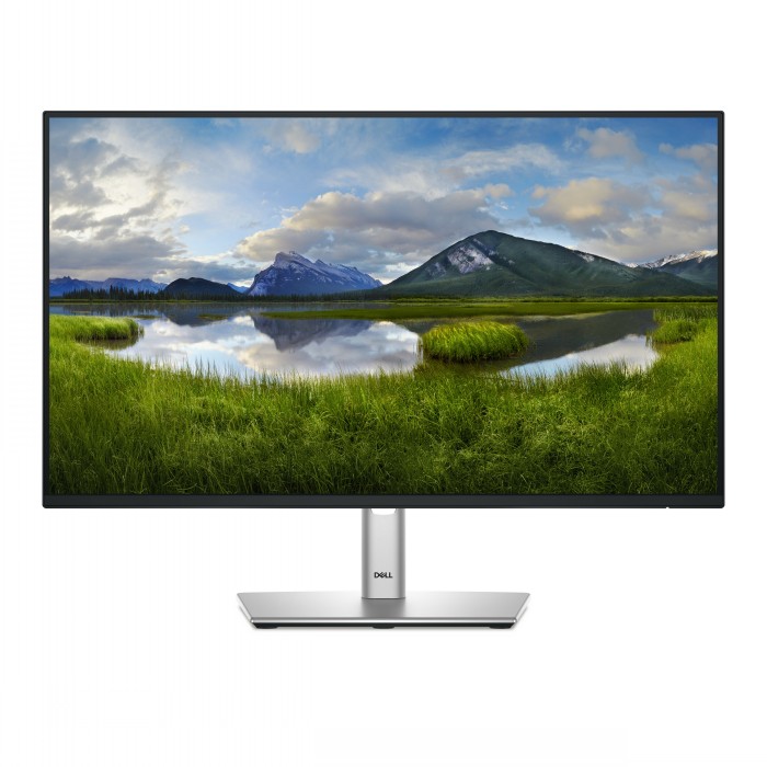 DELL 24 P2425HHF FHD IPS 16:9 PIVOT 100HZ USBC-15W