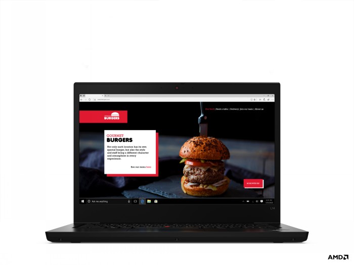 LENOVO L14 R5-4500U/14FHD/8GB/256SSD/RADEON/10P